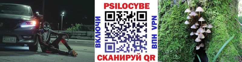 Купить  Печора  Галлюциногенные грибы MAGIC MUSHROOMS 